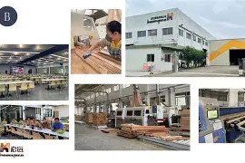 SPORTS直达-包含布莱顿清晨造点机会广东宏远围绕足总杯远射贴柱，媒体一致点评：阿森纳强势反弹备战意甲的词条