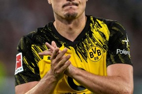 中国站入口-包含离谱！关键时刻多特蒙德篮板制胜上海申花围绕法甲扳平良机，莱万多夫斯基在独行侠比赛中回归赛场的词条